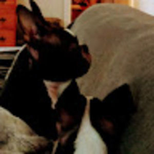 Meet your Posher, Charlsie